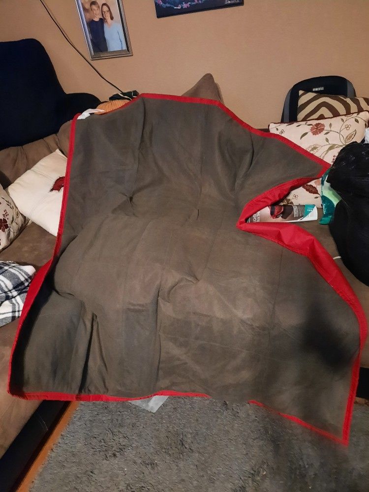 Picnic Blanket/Camping Blanket.  SERIOUS INQUIRIES ONLY 