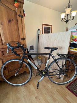 Novara Randonee 52 cm touring/road bike