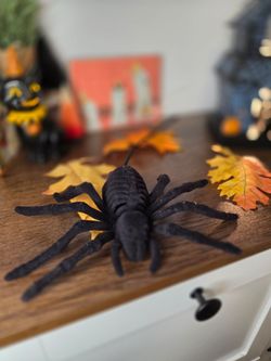 Halloween spider