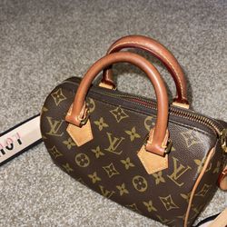 LV Speedy Bandouliere Leather Handbag