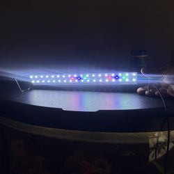 Full Spectrum Light For 10 Gallon Tank (two settings) 