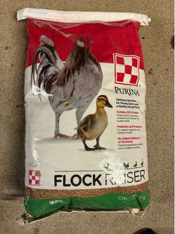 Flock raiser