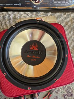 12" Speaker