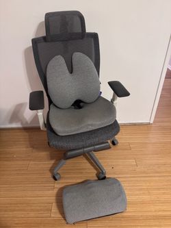 Ergonomic Office Chair with Cushion Lab Support