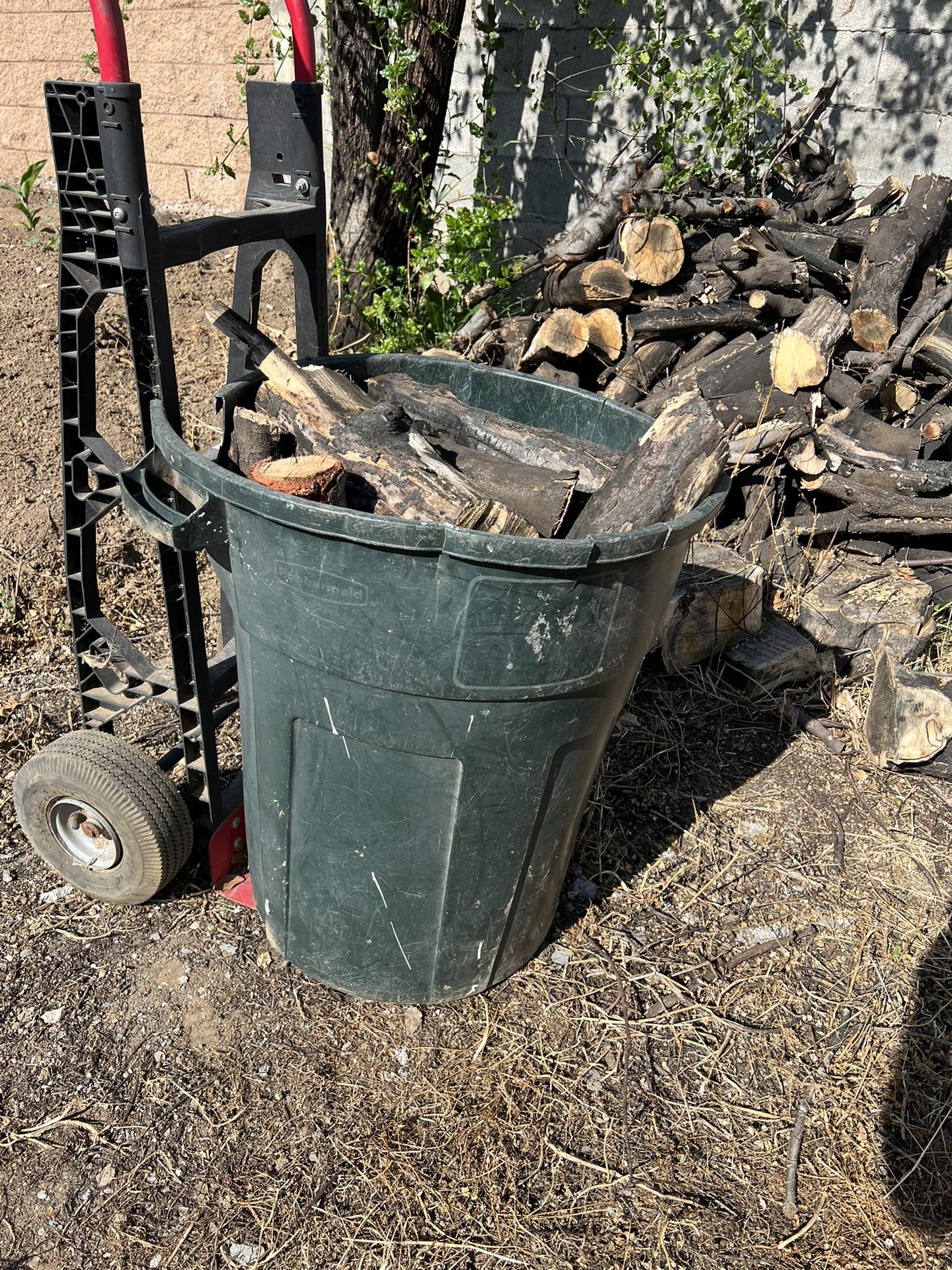 Firewood