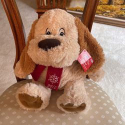 2010 Luv A Pet Chance Dog