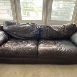Arizona leather Couches