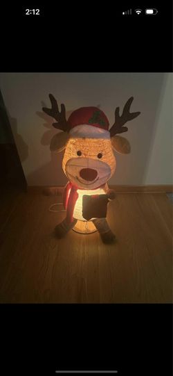 Christmas lighted decoration