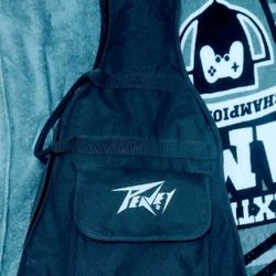Acoustic Guitar & Peavey Guitar Storage Case Bag.