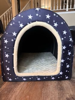 Used Dog bed