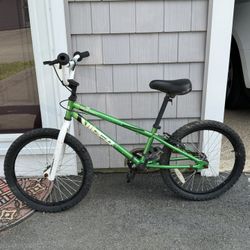Boy’s Bike 20 Inches 