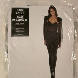 Dark Angel Costume