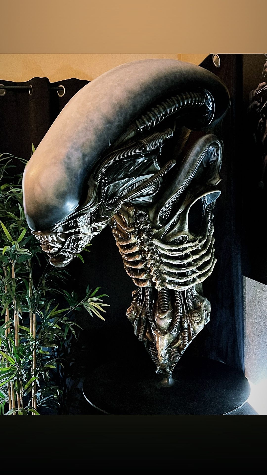 Alien Xenomorph Life Size Bust