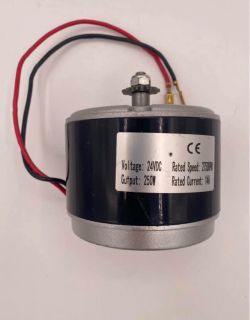 MY1016 24V 250W Brushed DC Motor