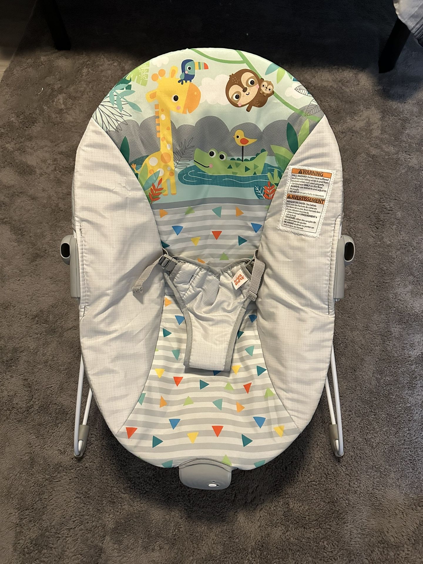 Bright Starts Baby Bouncer Soothing Vibrations