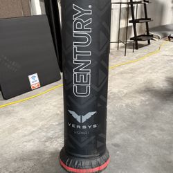 punching bag