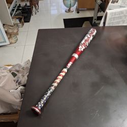 Rawlings Wicked Alloy 2" Barrel Baseball Bat For Youths 27"