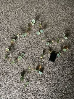 Cute vines