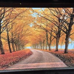 Framed Autumn Pathway Art