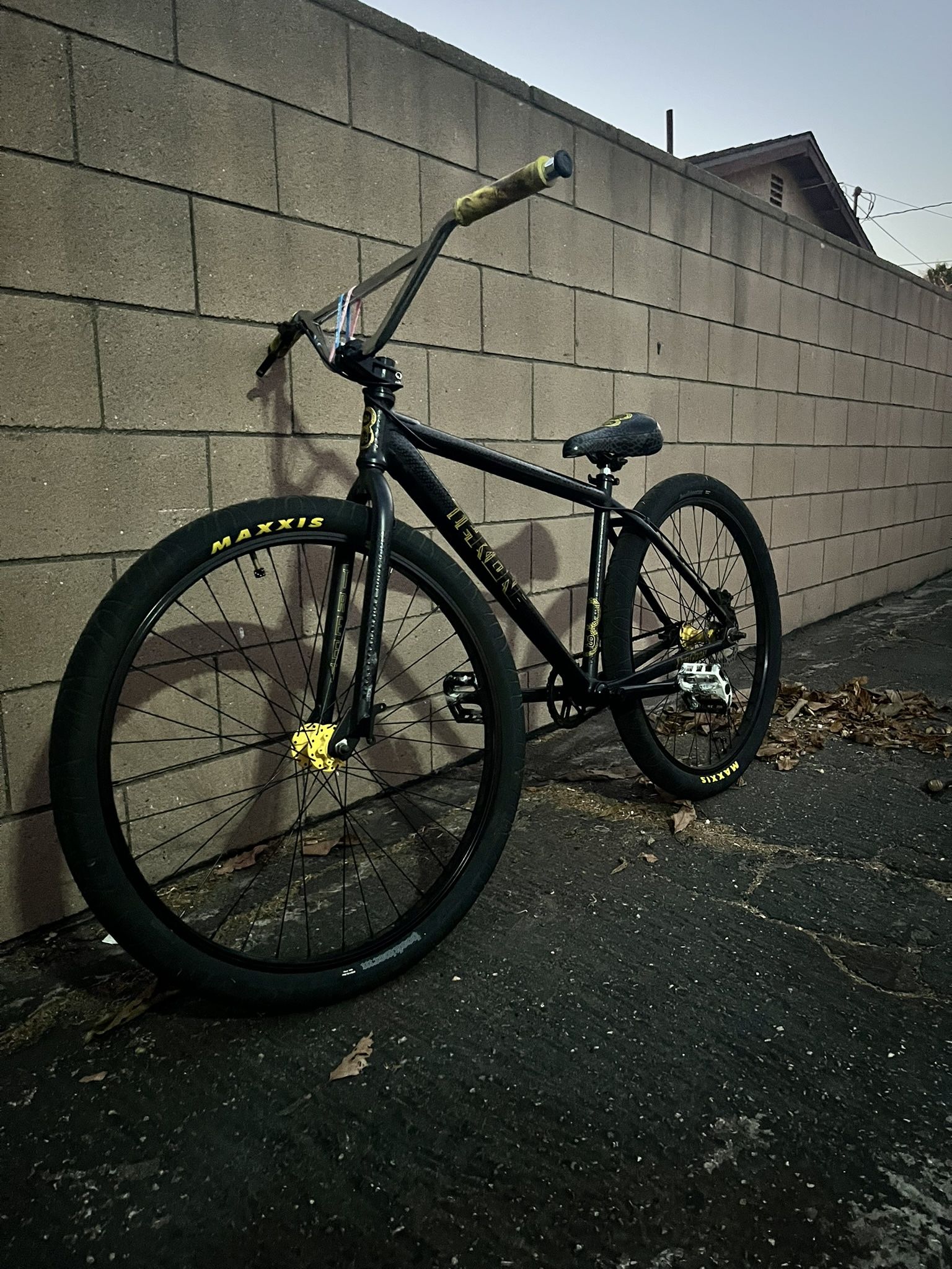 Throne 29er bike