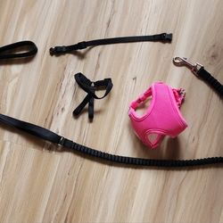 Xxs Animal Harness With Leash