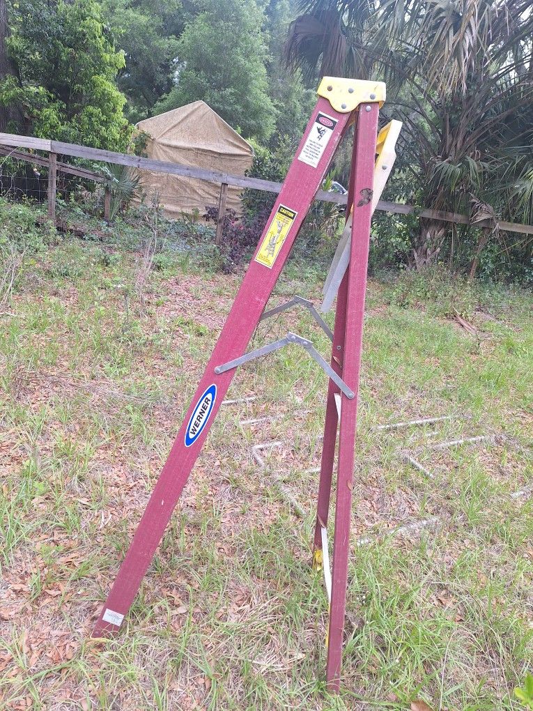 Werner Fiberglass Ladder 