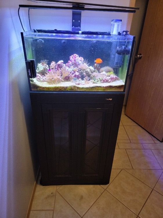 20 Gallon Salt Water Tank