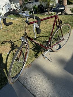 Racing Bike Raleich 