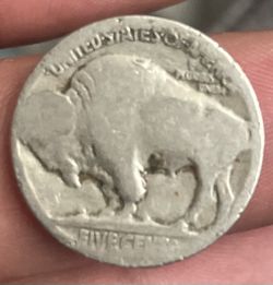 Bison Nickle