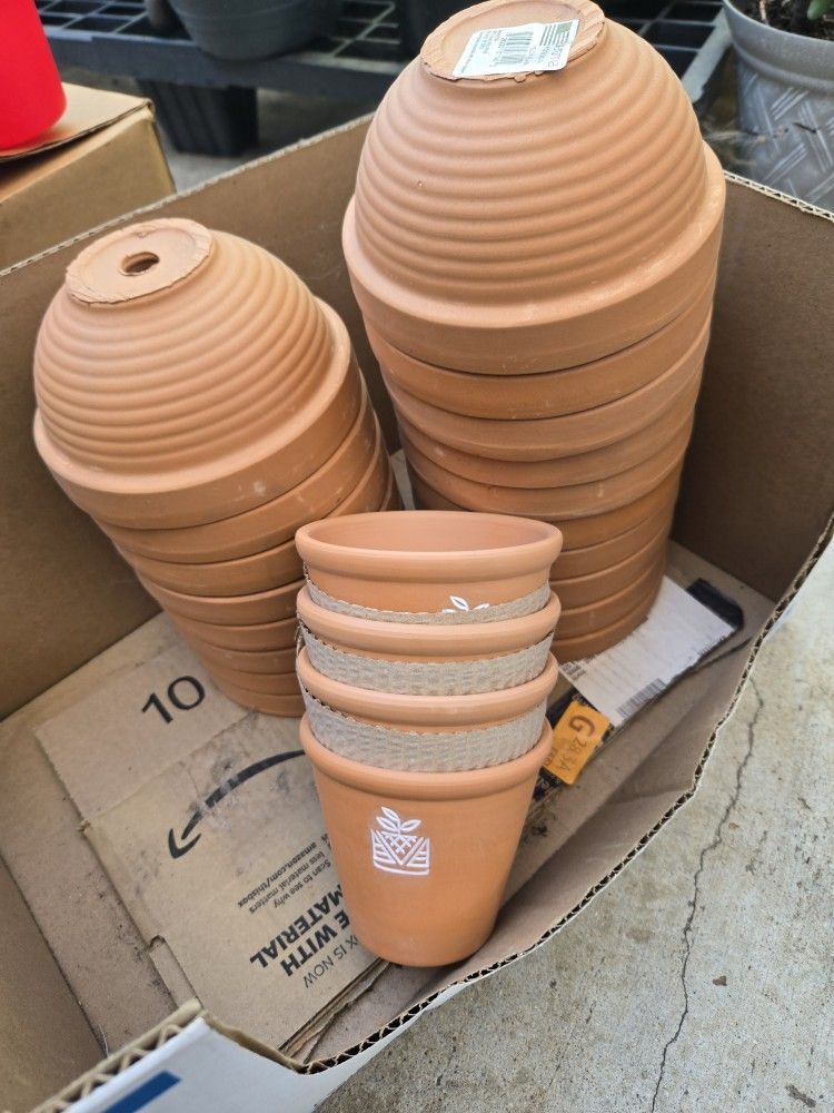 Pots/plants