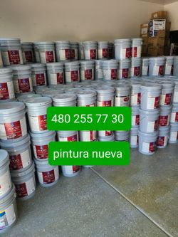 Paint and primer