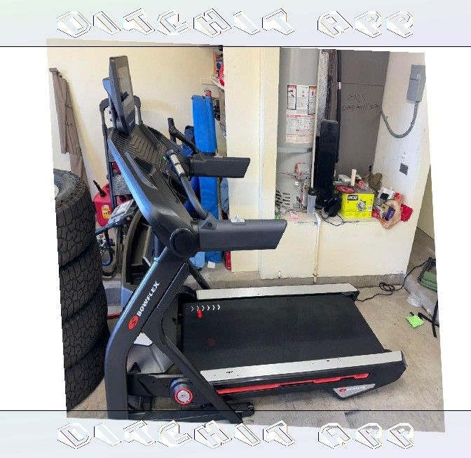 Workout Equipment for Fitness Lovers Fantastic Bargains player society