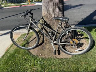 26” Timber Wolf Bianchi Bike