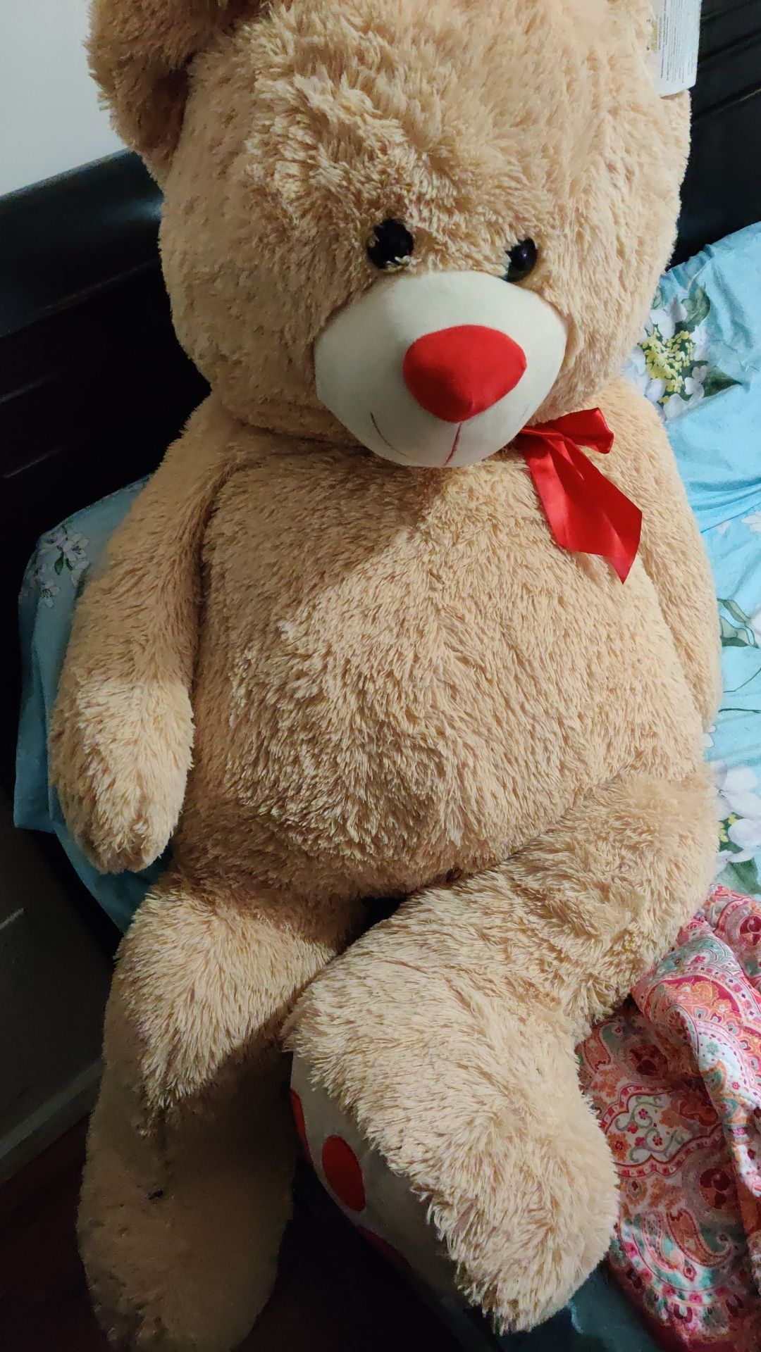 Big Teddy bear