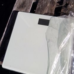 Digital Scale 