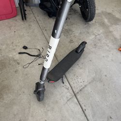 Bird Scooter