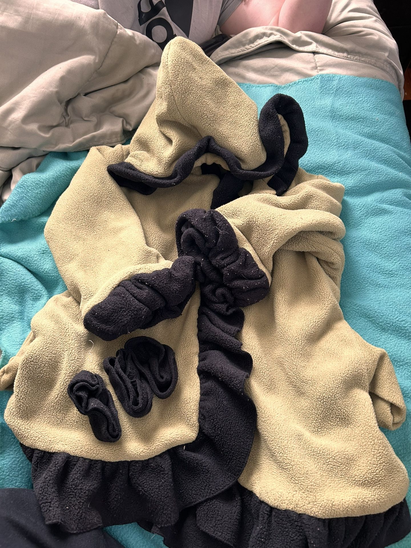 5T