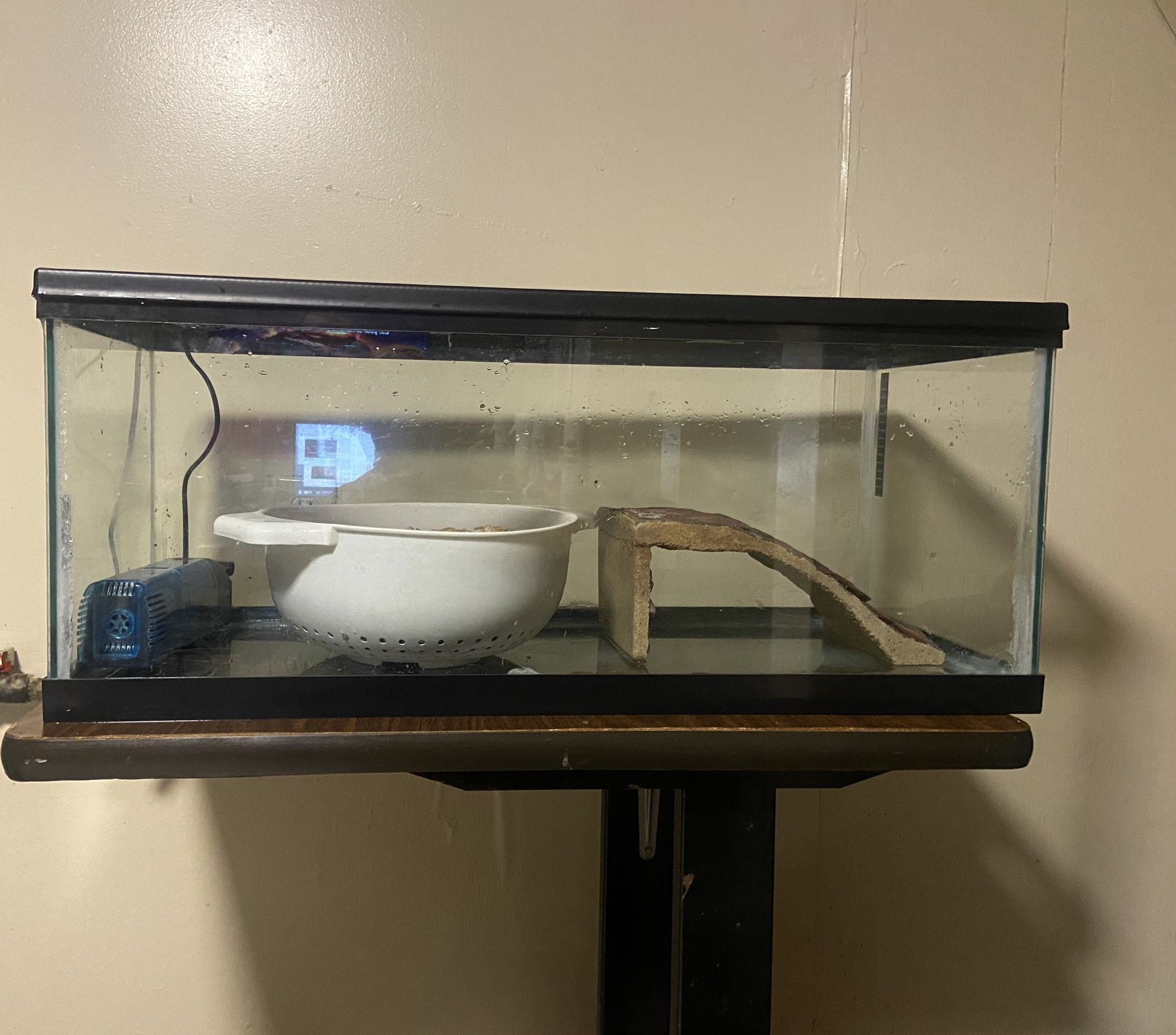 Aquarium Tank W| Cover, Stand, Rocks, Filter, Basking Area