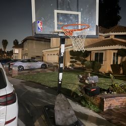 Basket Ball Court Free