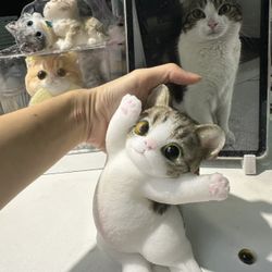 Stress Relief Cat Squishy – Super Soft & Satisfying