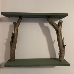 Green Book Shelf With Natural Wood 