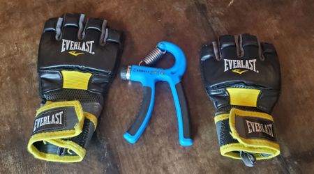 Everlast MMA Grappling Gloves Pair