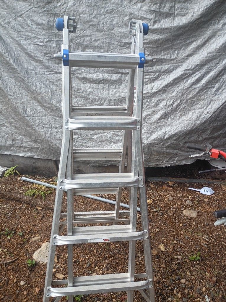 Werner 22' MT-22 Ladder