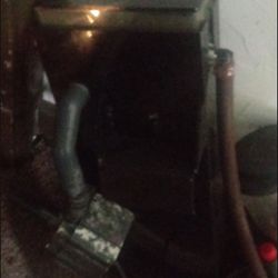 Hand On Back Skimmer 