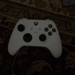 Arctic Xbox One/series s/X Controller