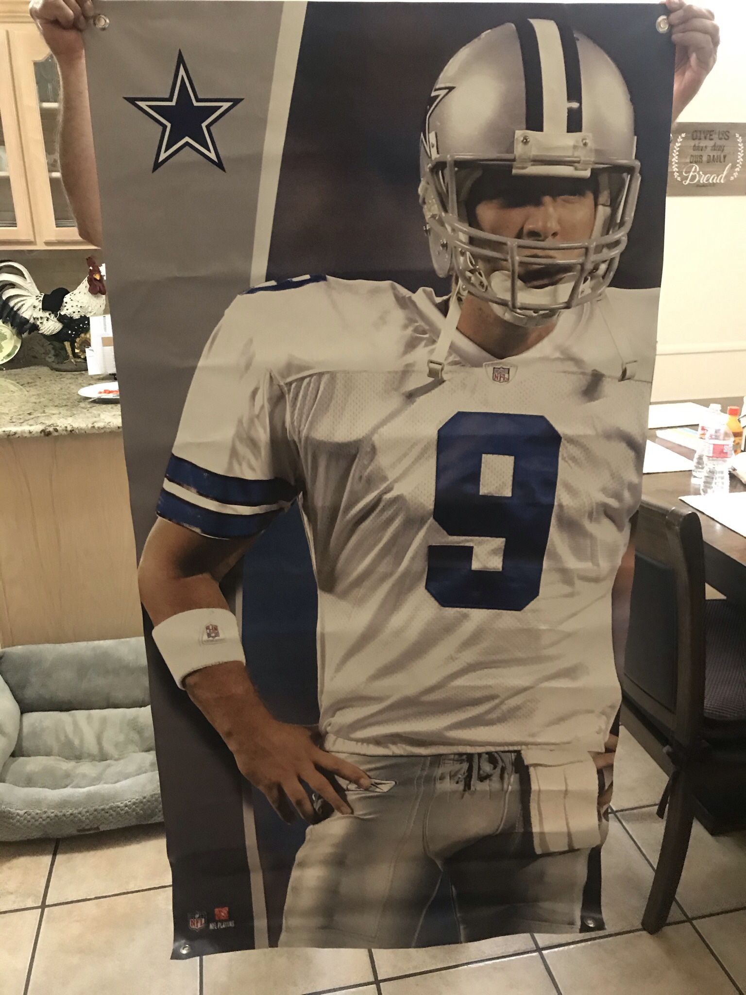 Dallas Cowboys Vinyl Tony Romo Fathead