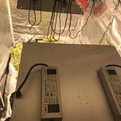 2- Spider Farmer Sf4000’s Package Deal