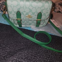 Hermoso Cartera 