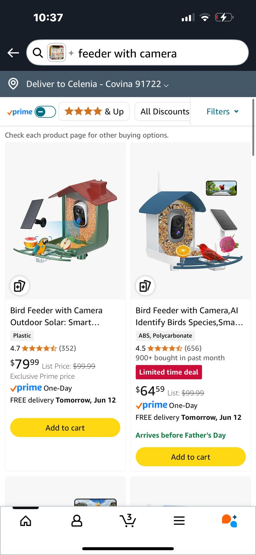 bird feeder with camera