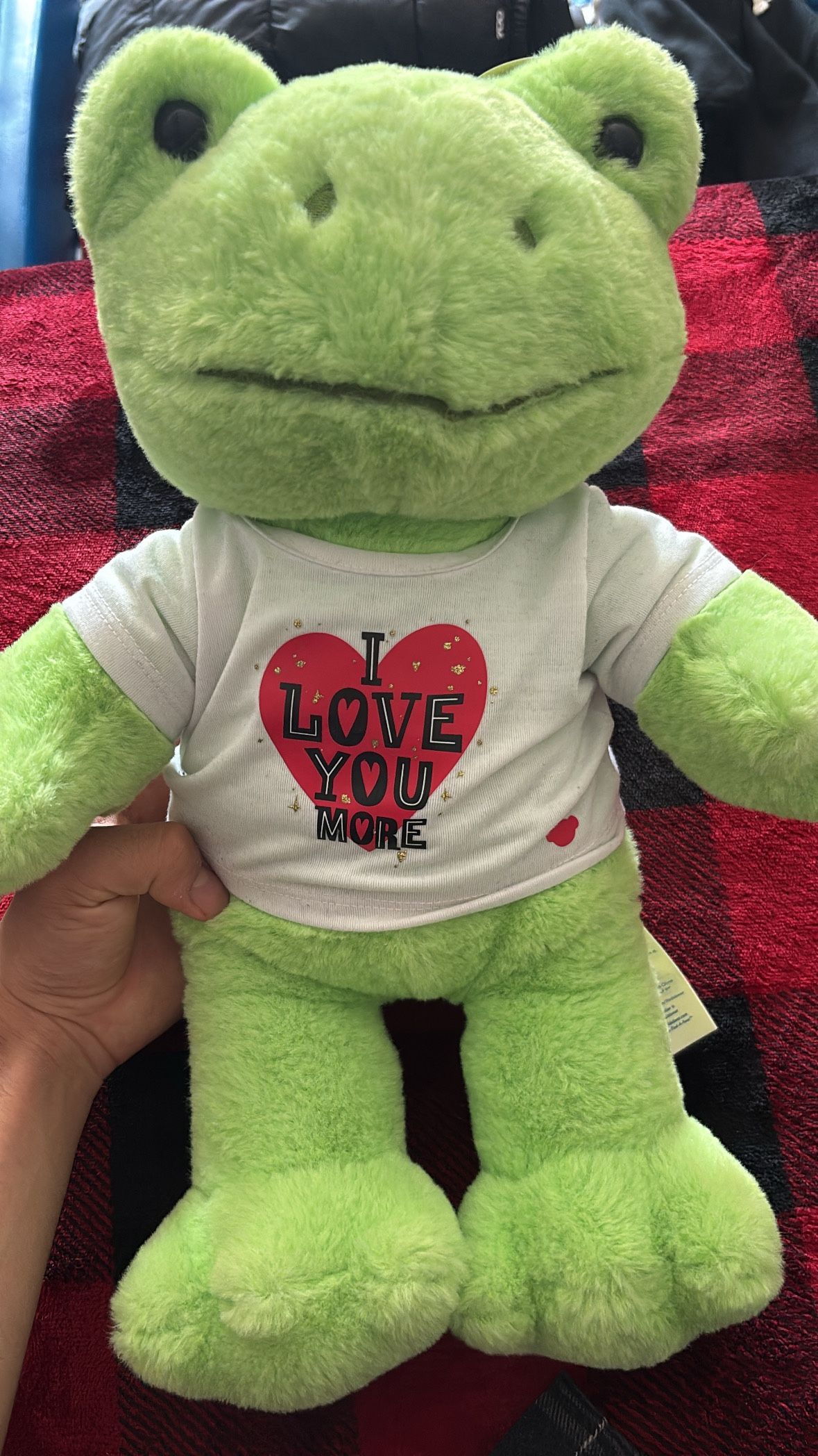 Build A Bear Frog